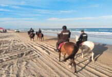 Guardia Estatal amplía alcance con operativos