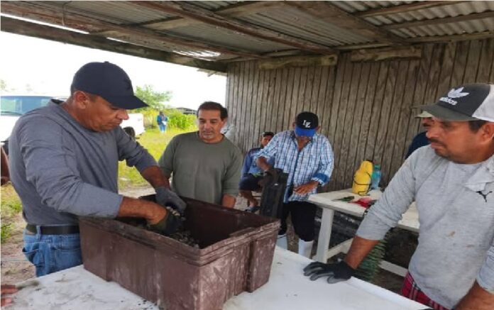 597560935_1455973596532199_4476295828673954943_n