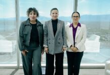 Integran comités permanentes de protección ambiental