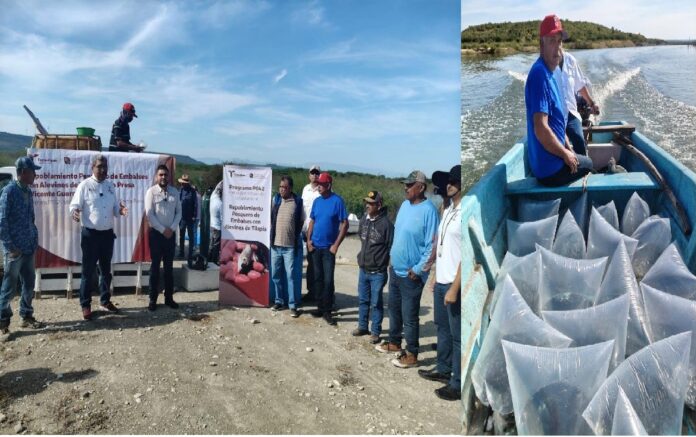 603919938_1468674908595401_4573525388686644890_n