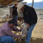 604749629_1465342135595345_7287525356801052701_n