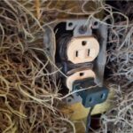 605463052_1466345845494974_5143668102027895726_n