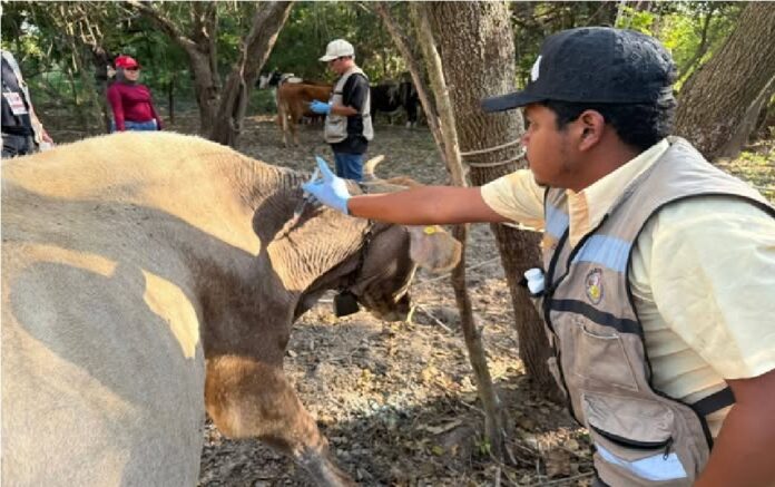 605542833_1472728058190086_7905772650047852290_n