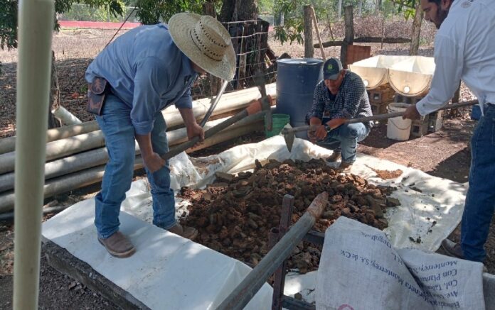 SRU-183-2025.-Promueven producción y uso de lixiviados en Xicoténcatl (3)