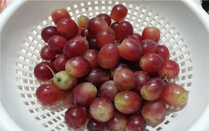 Uvas