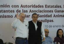 Refuerzan acciones contra el gusano barrenador en Tamaulipas