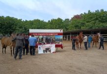 Inicia SSPT campaña preventiva permanente contra gusano barrenador