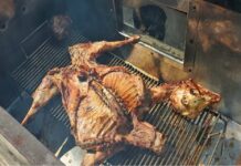 Da inicio Festival del Cabrito, en Tula