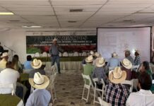 Presentan convocatoria para 3a. edición del “Novillo Gordo 2026”