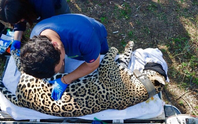 637939705_1518023956993829_1379262490953186585_n