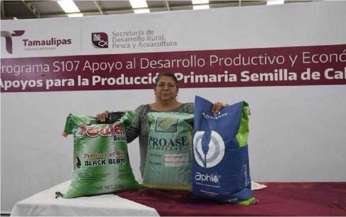 641328563_1524399723022919_184424665598916101_n