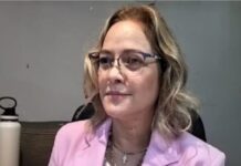 Se registran ataques de perros a mapaches