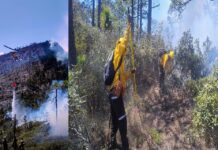 Reportan 70% controlado el incendio forestal “Puerto del Volcán”