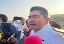 En descenso en casos activos de gusano barrenador