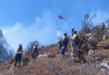 Controlado incendio forestal “Puerto del Volcán”