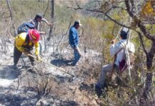 90% de avance en control de incendio forestal en Jaumave