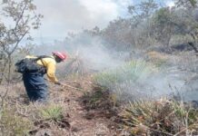 Sigue combate del incendio en Cerro El Tepozán