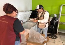 Supervisan distribución de pescado del programa Nutrimar Común