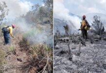 Logran combatir incendio forestal en Bustamante