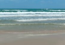 Fortalecen vigilancia ambiental en costas de la zona sur