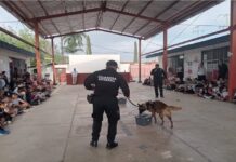 Realiza GE convivencia de Agrupamiento Canino comunidad escolar