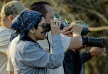 Invitan a la “Pajareada en el TAMUX”