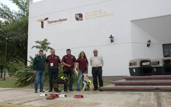 658166464_1553244366805121_8834751488858017902_n