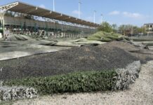 Rehabilitan cancha Enrique Borja de Cd. Victoria