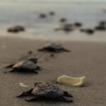 658439174_1551233670339524_4081521090715105112_n