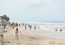 Playas de Altamira, San Fernando y Aldama ofrecerán conciertos