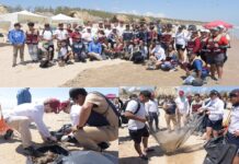 Tamaulipas intensifica esfuerzos con Federación y municipios para sanear litoral