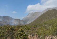 Inicia combate del incendio forestal en Bustamante