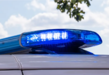 Hallan unas 50 vacas muertas en un campo en el Condado Hidalgo