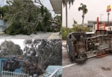 Fuertes vientos dejan caída de postes, árboles y cortes de energía en Zona Sur