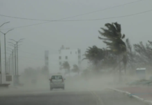 Trabajan en reparación de daños en playa Miramar por fuertes vientos