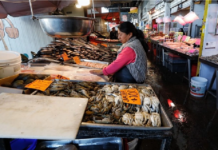 Implementa COEPRIS Operativo Cuaresma 2026