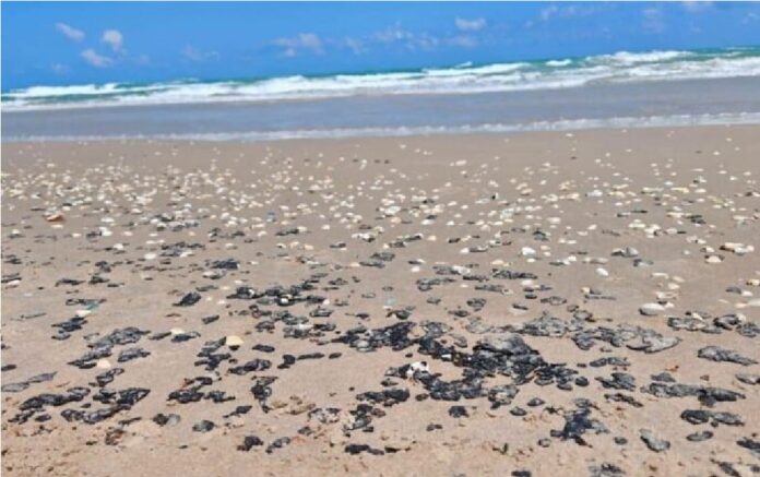 playas-1140x855-1-696x447