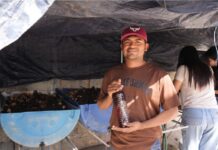 UAT desarrolla biofertilizantes líquidos a partir de lombricomposta