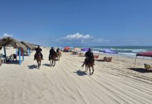 Labores de vigilancia en La Pesca del Agrupamiento Montado de la GE