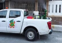 Refuerzan acciones de prevención y combate contra el dengue