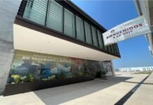 Se incrementa 322.92% matrícula de USJT