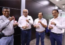 Venden el 100% de la primera cosecha de ostión