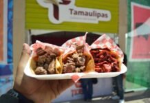 Listo Tamaulipas para participar en “32 sabores, 32 estados”