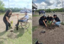 Realizan campaña de reforestación fortalece el Parque Central