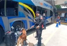GE intensifica vigilancia en central de autobuses