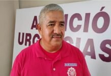 Comienzan reportes por enjambres de abejas en Tampico