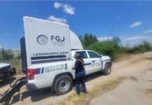 Localizan restos óseos en terreno abandonado