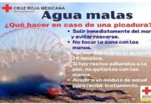 Alertan por “aguas malas” en Playa Miramar
