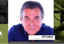 NI LOS TONTOS NI LOS ACELERADOS