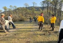 Reportan 60% de control del incendio forestal en Miquihuana